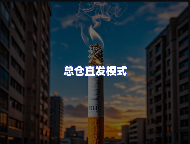 专业团队